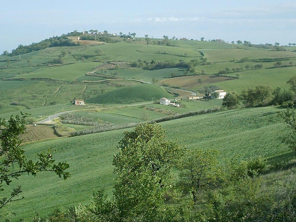 La Quiete Villa Montenero di Bisaccia Bagian luar foto